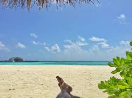 Beza masa antara maldives dengan malaysia adalah 3 jam (malaysia ke hadapan). Tips Melancong Ke Maldives Sembang Kuat