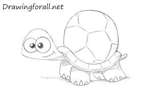 Sea turtle drawing box turtle drawing cartoon turtle drawing cute turtle drawings there are a numerous amount of pe. Draw So Cute Sea Turtle Shefalitayal