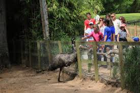 Bienvenue sur la page officielle du parc zoologique de la. Zoo De La Fleche