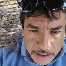 Una bandada de estorninos dibuja un ave en el cielo 🤯 El fotógrafo Daniel  Biber estuvo esperando durante cuatro días y, al fin, obtuvo esta foto.