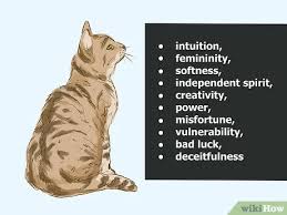 Are black cats really evil and misfortunate spirits? How To Interpret A Dream Involving Cats 13 Steps With Pictures