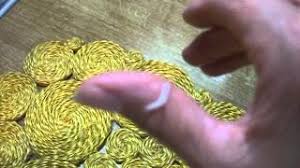 Katzenwurmer Arten Erkennen Und Bekampfen Katzen Wurmer