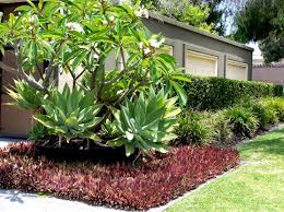 Garden Design Ideas Get Inspired By Photos Of Gardens From Australian Designers Trade Professionals Australia Hipages Com Au Come check out these beautiful diy front yard landscaping ideas on a budget and get started on your landscaping project this weekend!