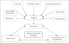 Newcastle Model Formulation Framework Download Scientific