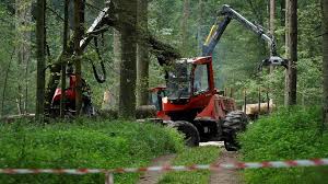 This country always attracted hunters from all over the world. Naturschutzgebiet Bialowieza Der Kampf Um Europas Letzten Urwald Tagesschau De