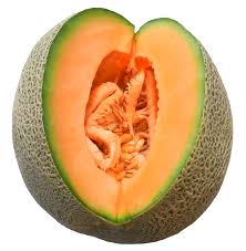 Hasil carian imej untuk â€ªmelonâ€¬â€