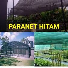 Raya babelan no.15 (depan kecamatan babelan), kec. Jual Pabrik 082333919978 Jaring Paranet Hitam Pt Sinar Surya Abadi Sejahtera Surabaya Jawa Timur Indotrading