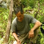 The Forest’s Gifts of Food: Medicine and Craft