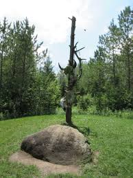 Check spelling or type a new query. Native American Buffalo Prayer Pole Zoochat