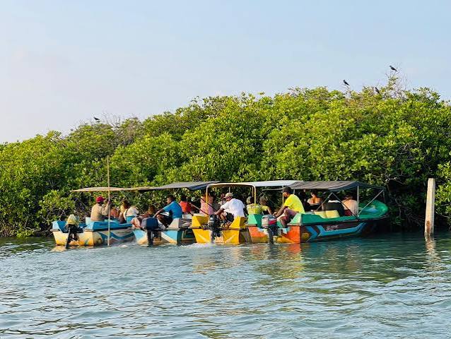 Mangroves Lagoon boat tour