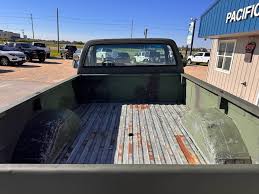Image result for Meadow Green 1987 Truck