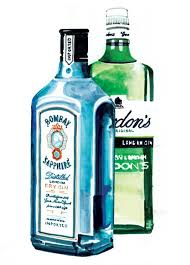 Gin Gin Gin Martooni Anyone Lol Bottle Drawing Gin Bottles Cocktail Illustration