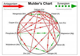 Mulders Chart And Soil Nutrient Interaction Thcfarmer
