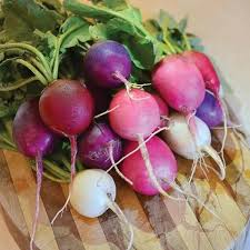 Crayon Colors Mix Radish Seeds Organic Non Gmo Usa Garden Etsy Radish Color Mixing Seeds