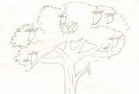 Pernahkah kamu diminta menggambar rumah, pohon dan manusia dalam sebuah tes psikologi untuk mendapatkan pekerjaan? Psiko Tes Gambar Cpns 2018 Icpns