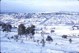 Find amazing last minute deals from 24 hotels in armidale, australia. The Armidale Of Yesteryear Lookout View With Snow 1963 Wishfulthinking Facebook