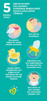 bebeklerde dis cikarma donemi ve ilk dis prima tr