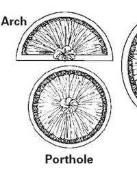 Also included are curved curtain rods for arch, sunburst and porthole windows. Curved Flexible And Arched Curtain Rods Interiordecorating Com