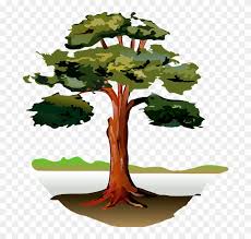 Call us today to learn more about our studio. Tree Wood Forest Clip Art Gum Tree Png Download 1472052 Pikpng