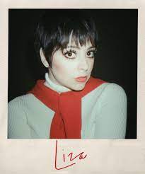 At that, he set about kissing liza minnelli in a way which left those present at the regent hotel in new york agog, likened. Liza Minnelli Was Halston S Best Friend On And Off The Stage