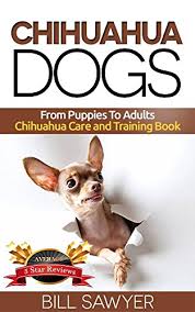 Greatbigcanvas.com has been visited by 100k+ users in the past month Chihuahua Dogs From Puppies To Adults Chihuahua Care And Training Book How To Raise A Happy Healthy And Well Trained Chihuahua 1 English Edition Ebook Sawyer Bill Lover Chihuahua Amazon De Kindle Shop
