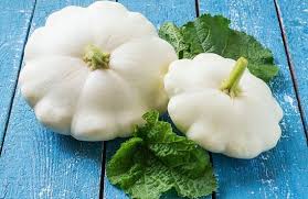 Early White Bush Scallop Squash (Treated)