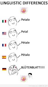 German Not The Prettiest But Most Certaintly The Funniest Language Smiles And Laughs Amusing