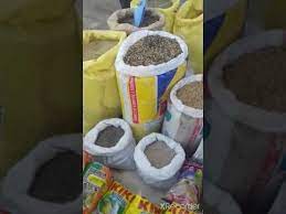 جولة في سوق الطيور بمكناس اتمنة مناسبة لجميع الطيور الحسون و طيور الفيشر بيروش كنار youtube