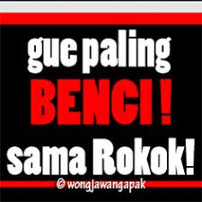 Jual beli singkong langsung dari petani dan supplier seluruh indonesia. 12 Ide Barang Untuk Dibeli Lucu Gambar Lucu Gambar