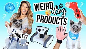 Testing Weird Dog Products Crazy Dog Pets Dog Gadgets