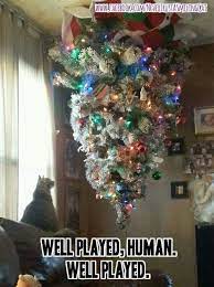 Pin By Rhonda Shriver On Winter Christmas Cats Cat Christmas Tree Christmas Animals