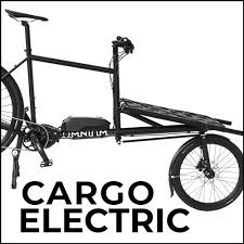 Out of these cookies, the cookies that are categorized as necessary are stored on your browser as they are essential for the working of basic functionalities of the website. Electric Omnium Cargo Official Shop