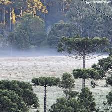 Também temos um aumento da nebulosidade, inclusive. Frio De Quase 4 C Abaixo De Zero No Sul Do Brasil Fatos Do Iguacu