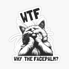 Image result for double facepalm