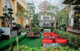 Areas of expansion, innovation, restriction, and change are explored. Zodiac Cafe Home Decoration One Life Live It Now Facebook