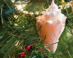 Magical, meaningful items you can't find anywhere else. Items Similar To Florida Conch Air Plant On Etsy Nautical Christmas Ornaments Beach Christmas Decorations Shell Ornaments