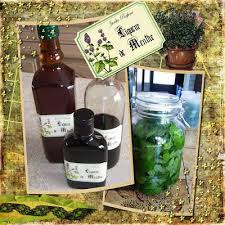 Jardin Parfume Liqueur De Menthe Liqueur De Menthe Liqueur Menthe