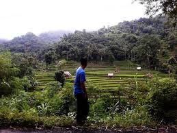 Iseng2 bikin taman atas got. Sawah Berundak Dusun Bangle Pemandangan Nan Hijau Di Timur Gunung Lempuyang Kompasiana Com
