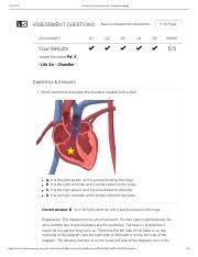 (__) digestion is the process of breaking down food into smaller. Digestive System Gizmo Digestive System Gizmo Explorelearning Assessment Questions Back To Assessment Questions Print Page Jesus Robert Q1 Q2 Q3 Course Hero