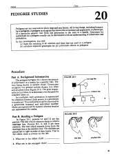 Circles are females and squares are males. Pedigree Studies Pdf Name Date Pedigree Studies 2 0 Pedigrees Are Not Reserved For Show Dogs And Race Horses All Living Things Including Humans Have Course Hero