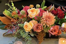 Image result for Chamaeangis