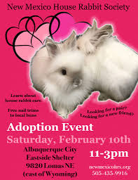 Maybe you would like to learn more about one of these? February 10th Abq Adoption Event New Mexico House Rabbit Society