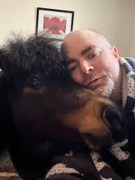 The Adventures Of Patrick The Pony group