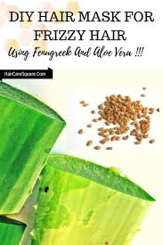 Methi for hair is an efficient natural and easy remedy for hair fall and hair loss. Diy Hair Mask For Frizzy Hair Using Fenugreek And Aloe Vera
