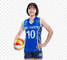 The league started in 1994. Kim Hyeseon Hwaseong Ibk Altos Cheerleading Uniforms V League Industrial Bank Of Korea Png 492x740px Hwaseong