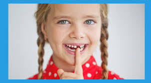 Erupcion De Los Dientes Definitivos Las 6 Dudas Principales