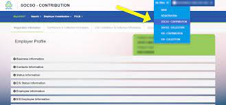 Perkeso Online Payment