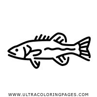Select from 35919 printable crafts of cartoons, nature, animals, bible and many more. Sunfish Coloring Pages Ultra Coloring Pages
