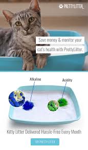 Maybe you would like to learn more about one of these? High Quality Cat Litter Delivered Directly To Your Door For Subscribers You Will Only Need To Change The Litter Once A Month Cat Litter Pretty Litter Cat Care