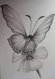 Draw out your flower collection. Easy Pencil Easy Flower With Butterfly Drawing Novocom Top